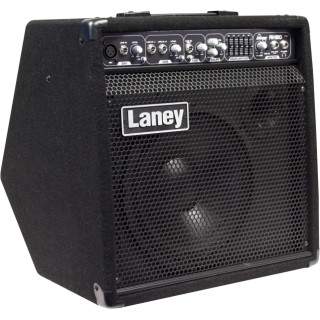 Laney AH80 Multi-Input Combo - 80W - 10 Inch Woofer Plus Horn