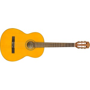 Fender ESC-105 Educational Series WN