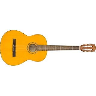 Fender ESC-80 Educational Series NS WN