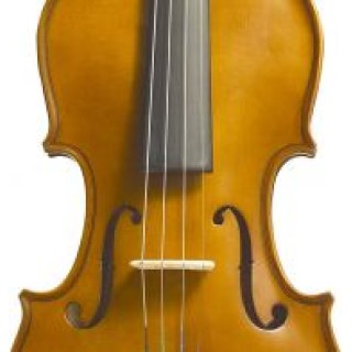 Stentor 1400A Student Violin Standard 4/4 