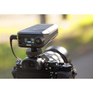 RØDELink Newsshooter Kit - Plug-in XLR digital wireless system